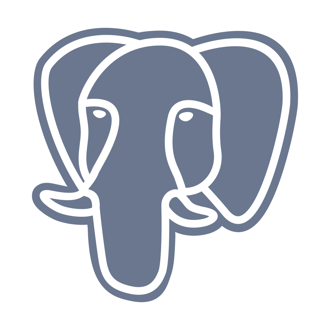 PostgreSQL